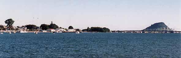 Inner Harbour View of Mt Maunganui