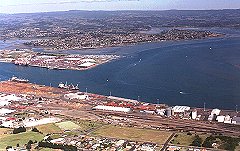 Tauranga.jpg (17314 bytes)